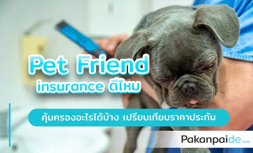 pet friend insurance ดีไหม
